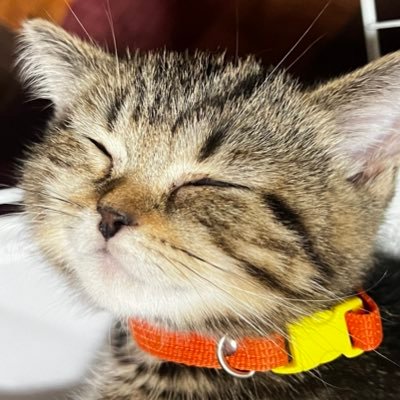 sumpang's profile picture