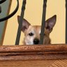 Jaxxies dad ๐ฎ๐ฑ ๐บ๐ฆ โณ๏ธ ๐๏ธ's profile picture