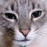 Buzielo's profile picture