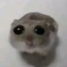 Profilbild von yblwb