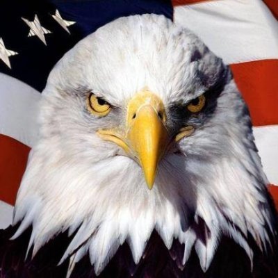 🇺🇸Josiah Taylor🇺🇸's profile picture