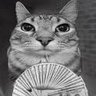 Rezy's profile picture
