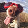 Doodle profil fotoğrafı
