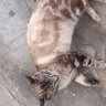 luis profil fotoğrafı