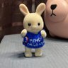Ternurin Celeste's profile picture