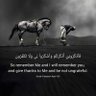 Mohammed fahad's profile picture