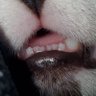 Profilbild von Wannah