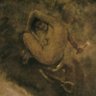 Profilbild von Z. Dino