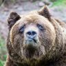 Profilbild von FreshWun