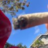 jordyn profil fotoğrafı