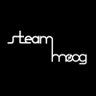 SteamMoog 的头像
