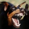 legendaryraider's profile picture