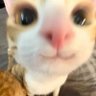 Profilbild von -