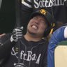Profilbild von どすこい