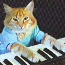 KeyboardCatBase's profile picture