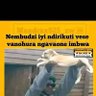 Profilbild von Tatenda Shumba