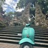 catur profil fotoğrafı