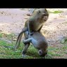 CA Wils profil fotoğrafı