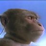 EmergentCode's profile picture