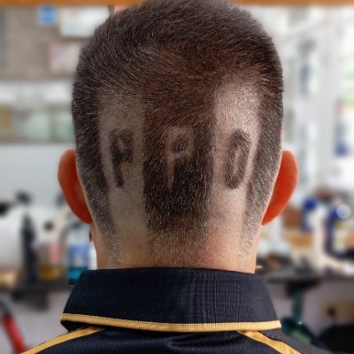 alejandromoll's profile picture