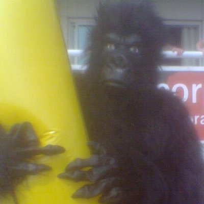 sarm0161's profile picture