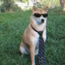 M3_1rl's profile picture