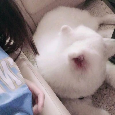 吧唧一小口Y's profile picture