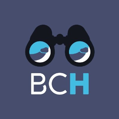 beefcakehunter's profile picture