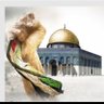Ali Enes Şahin🇹🇷🇵🇸's profile picture