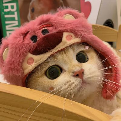 fruit_day's profile picture