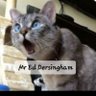 MrEDersingham(UK) profil fotoğrafı