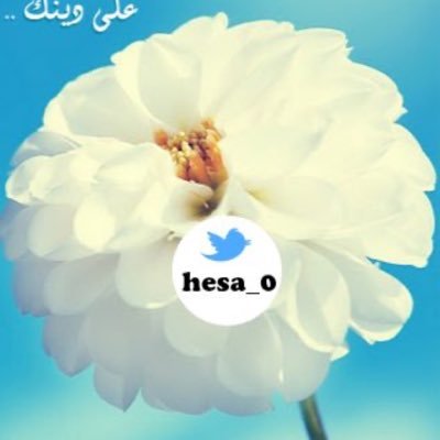 hesa_0's profile picture