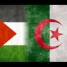 Lotfi debiche's profile picture