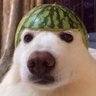 PC Master Jambróba's profile picture
