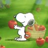Фото профиля こりんご🍎