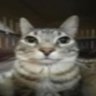 boze's profile picture