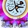 haid mahmod's profile picture