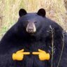 Profilbild von Legomaster