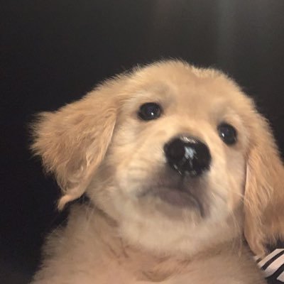 Doonang1234's profile picture