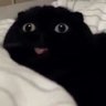 Carl$$ 的头像