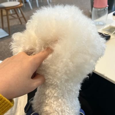 Mclimcoon's profile picture