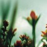 Фото профиля 07_Everything