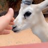 نجاح profil fotoğrafı