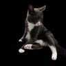 Devarck profil fotoğrafı