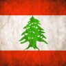 Z 🐦🔥❤️🇱🇧❤️🐦🔥 的头像