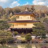 Фото профиля ほんき君