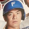 ファイターズ☆ファイターズ 的头像