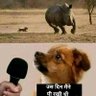 Profilbild von दिखावटी दुनिया से परहेज़
