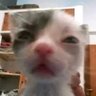 Profilbild von zZenith