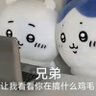 平平无奇的咸鱼's profile picture